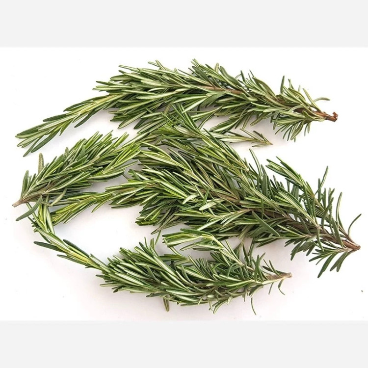 رزماری تازه سبز اعلا 500 گرمی