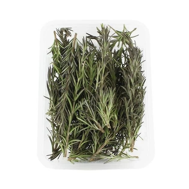 رزماری تازه سبز اعلا 500 گرمی
