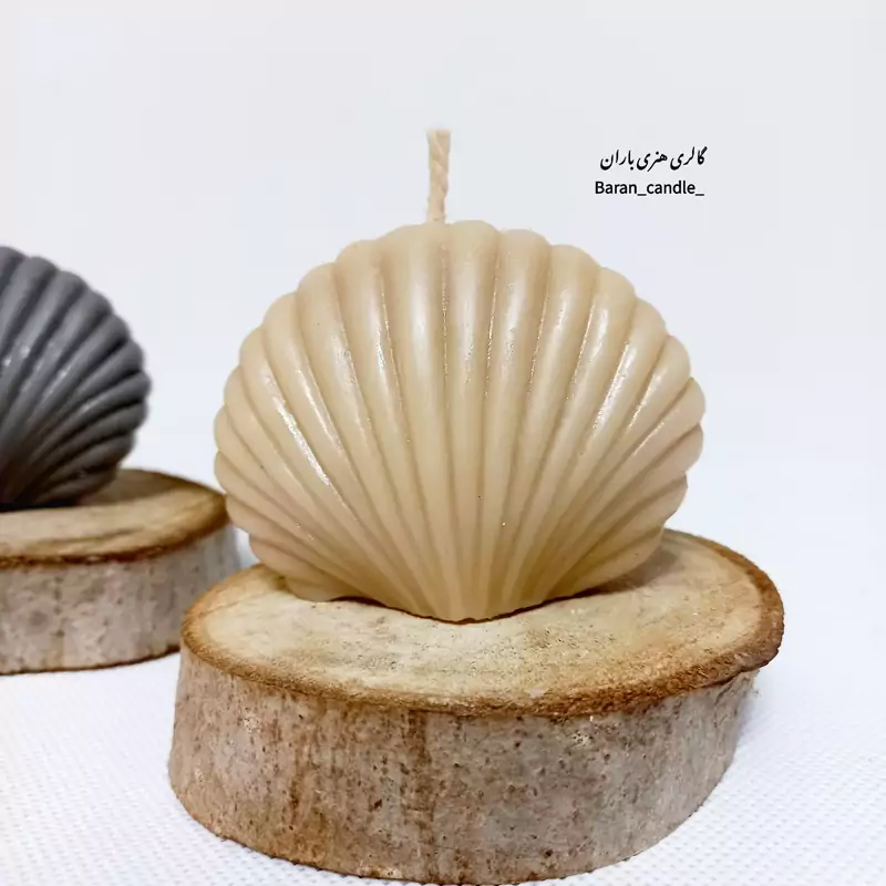 شمع صدف عمده 6عددی