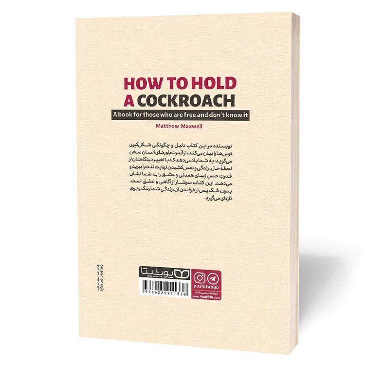 کتاب چطور یک سوسک را در دست بگیریم اثر مکسول مترجم فاطمه لطفی انتشارات یوشیتا