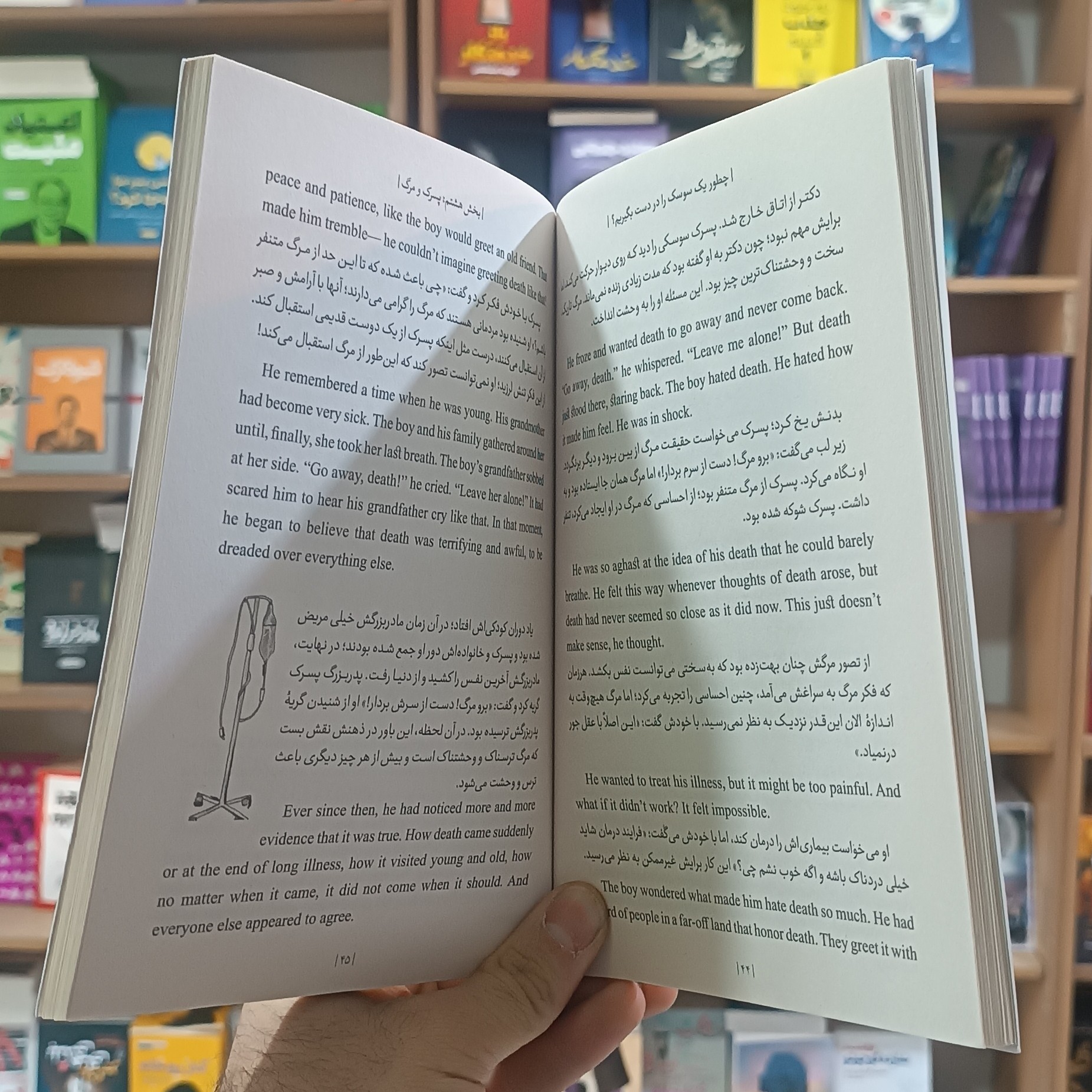 کتاب چطور یک سوسک را در دست بگیریم اثر مکسول مترجم فاطمه لطفی انتشارات یوشیتا