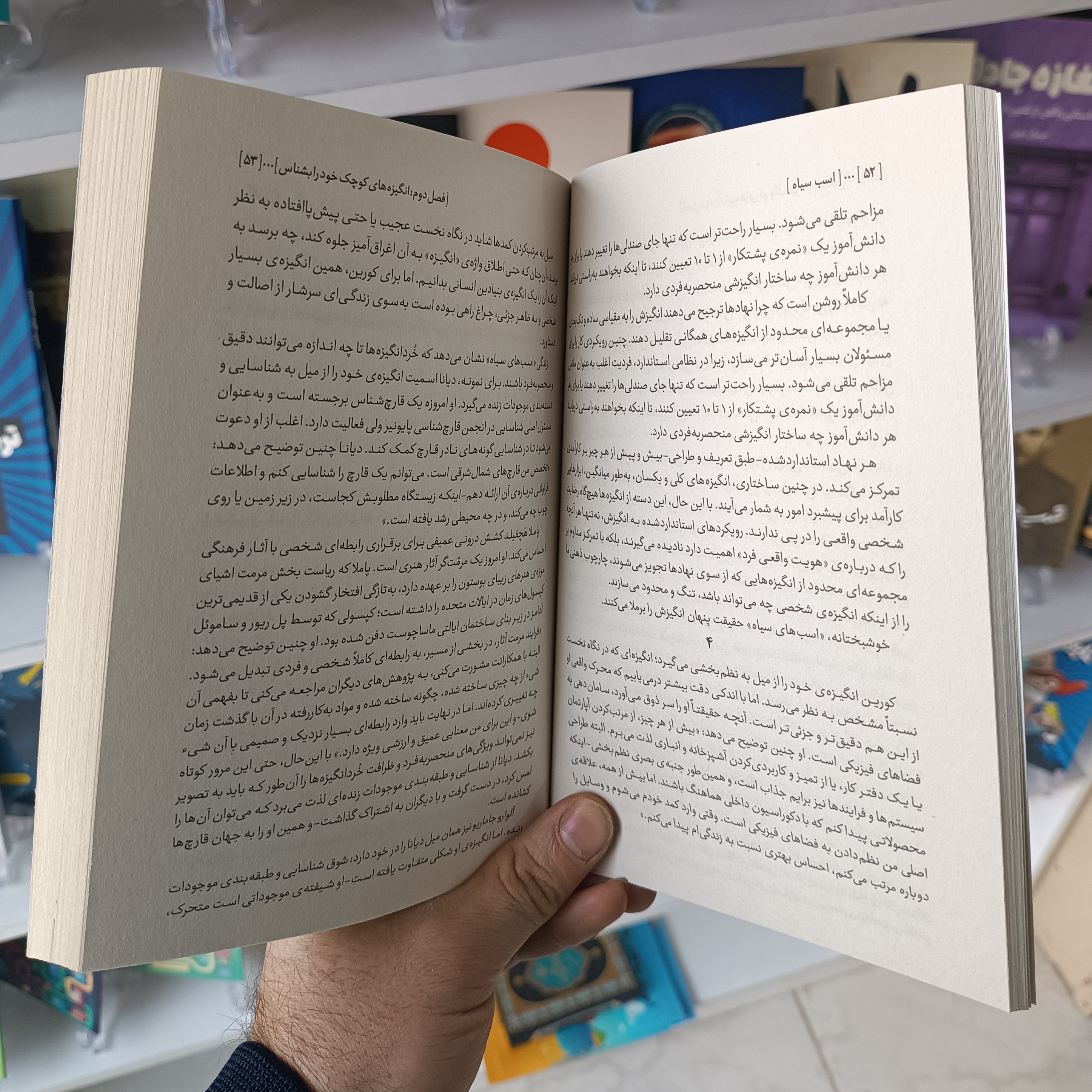 کتاب اسب سیاه اثر تاد رز و اگی اگاس مترجم طیبه احمدوند انتشارات آزادنشر
