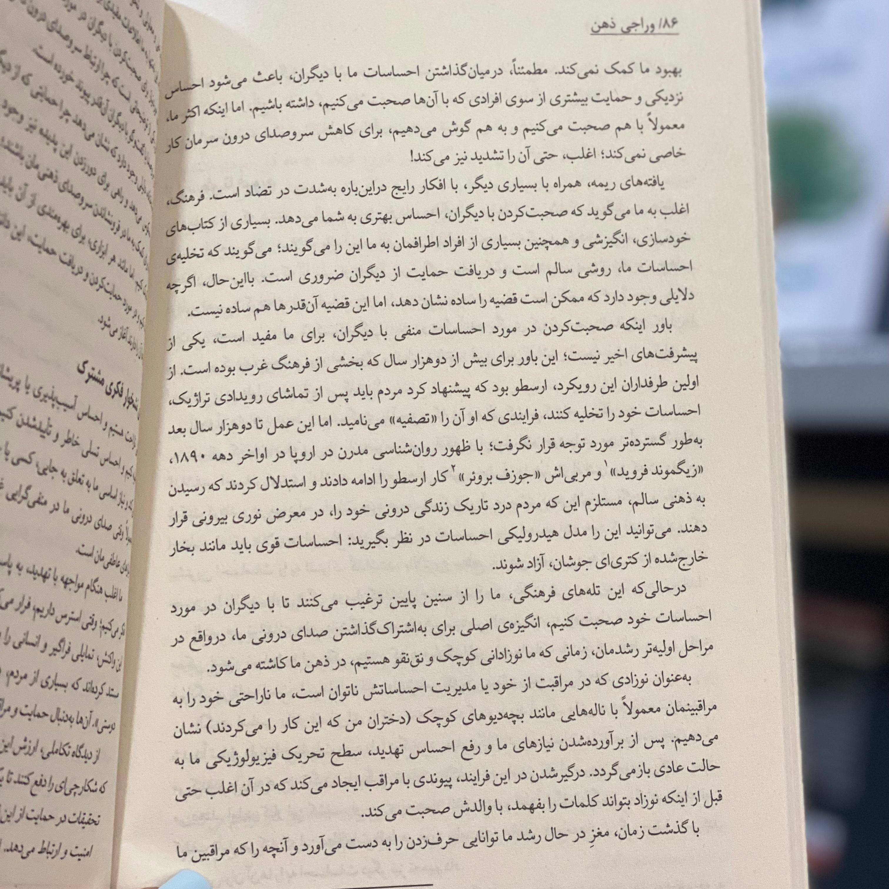 کتاب فراتر از نظم اثر جردن بی پیترسون مترجم مژگان بهرامی فرد انتشارات هیتا