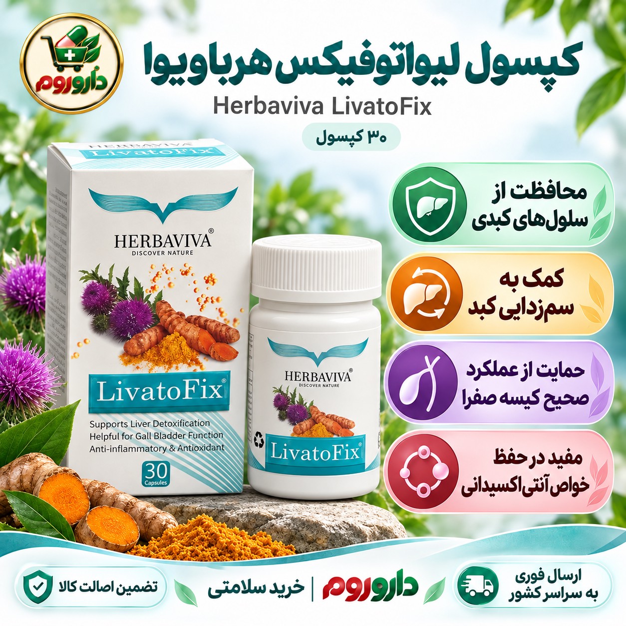 کپسول لیواتوفیکس هرباویوا 30 عددی محافظت از سلول های کبدی