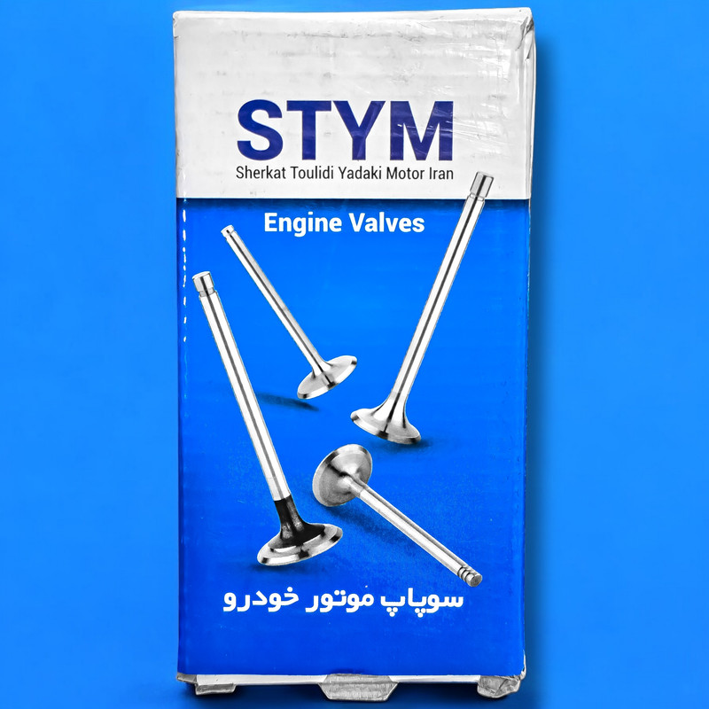 سوپاپ خودرو اس تی وای ام مدل 002113 مناسب برای پژو ۲۰۶ تیپ ۲ بسته ۸ عددی