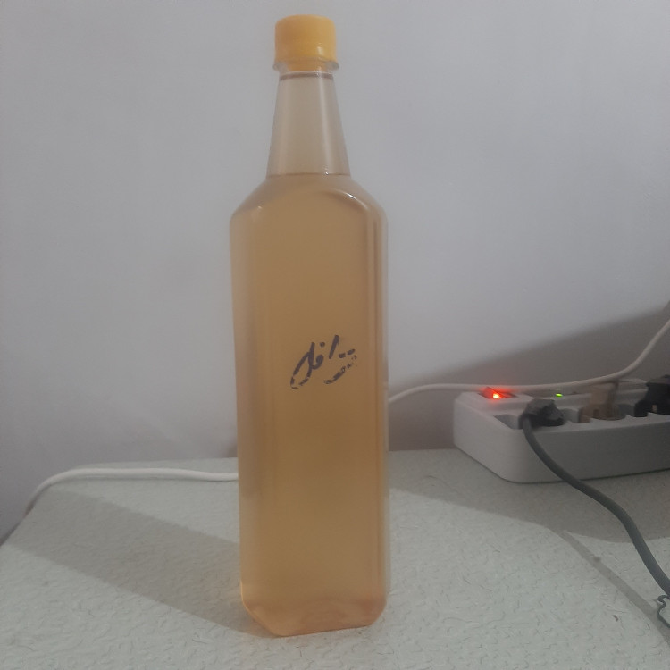 روغن ترافل قارچ کوهی دنبلان دمبلان یک لیتری زد اویلز