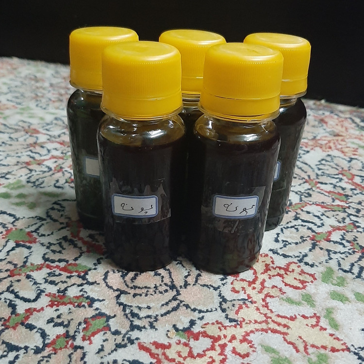 روغن پونه 30 سی سی اصل (مشکلات تنفسی قارچ پوستی عفونت شوره سر ضد شپش)