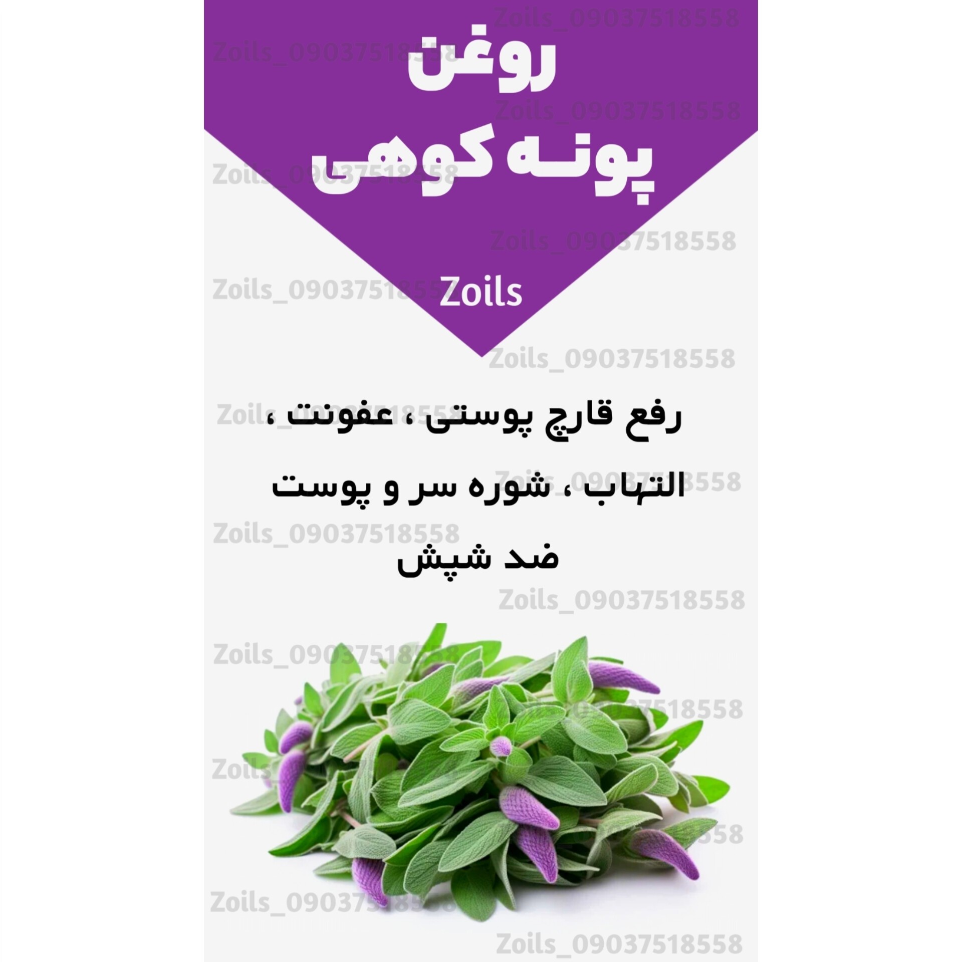 روغن پونه 30 سی سی اصل  (مشکلات تنفسی قارچ پوستی عفونت شوره سر ضد شپش)