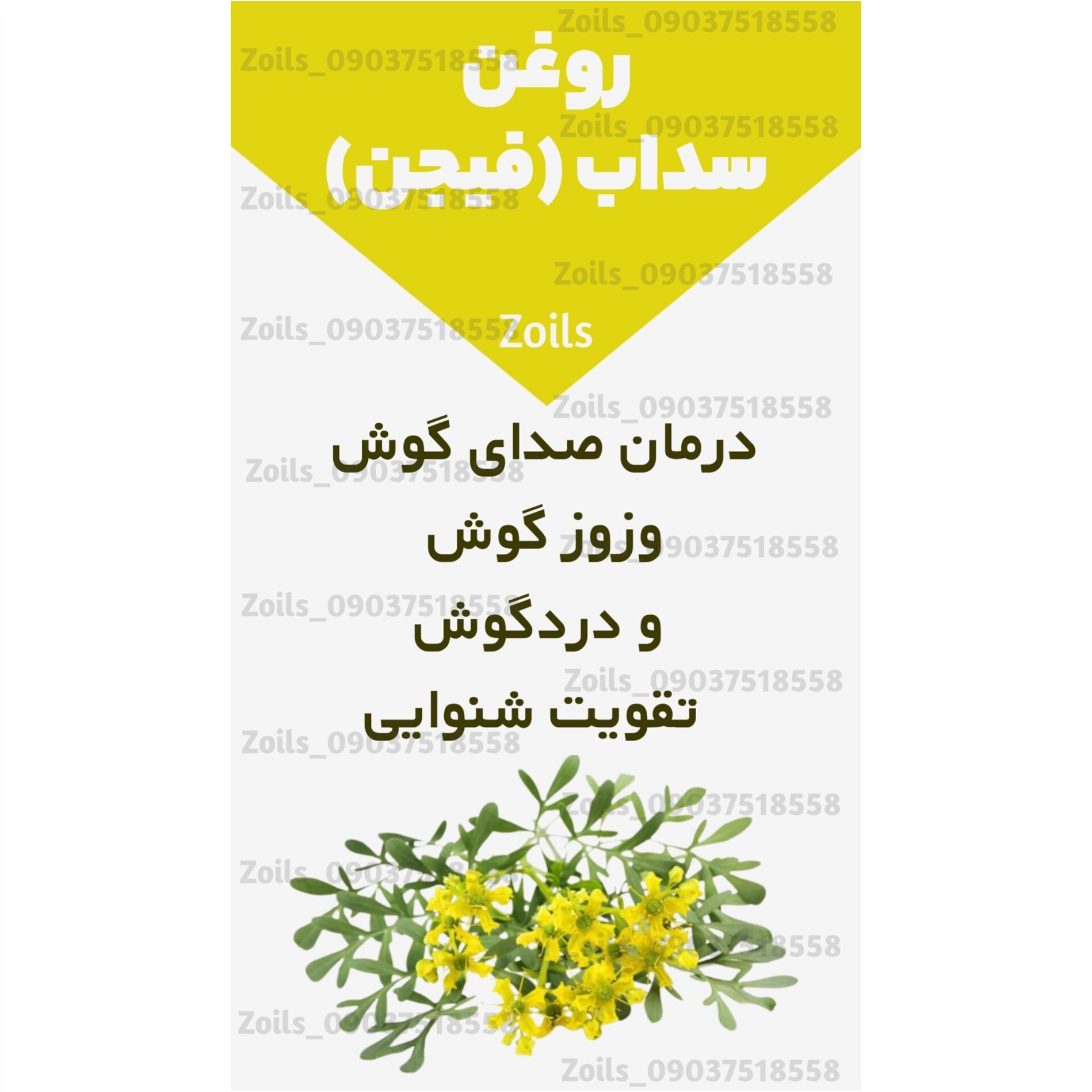روغن سداب 30 میلی اصل (دردگوش صدای گوش وزوز گوش گوش درد شستشوی گوش تقویت شنوایی) روغن فیجن