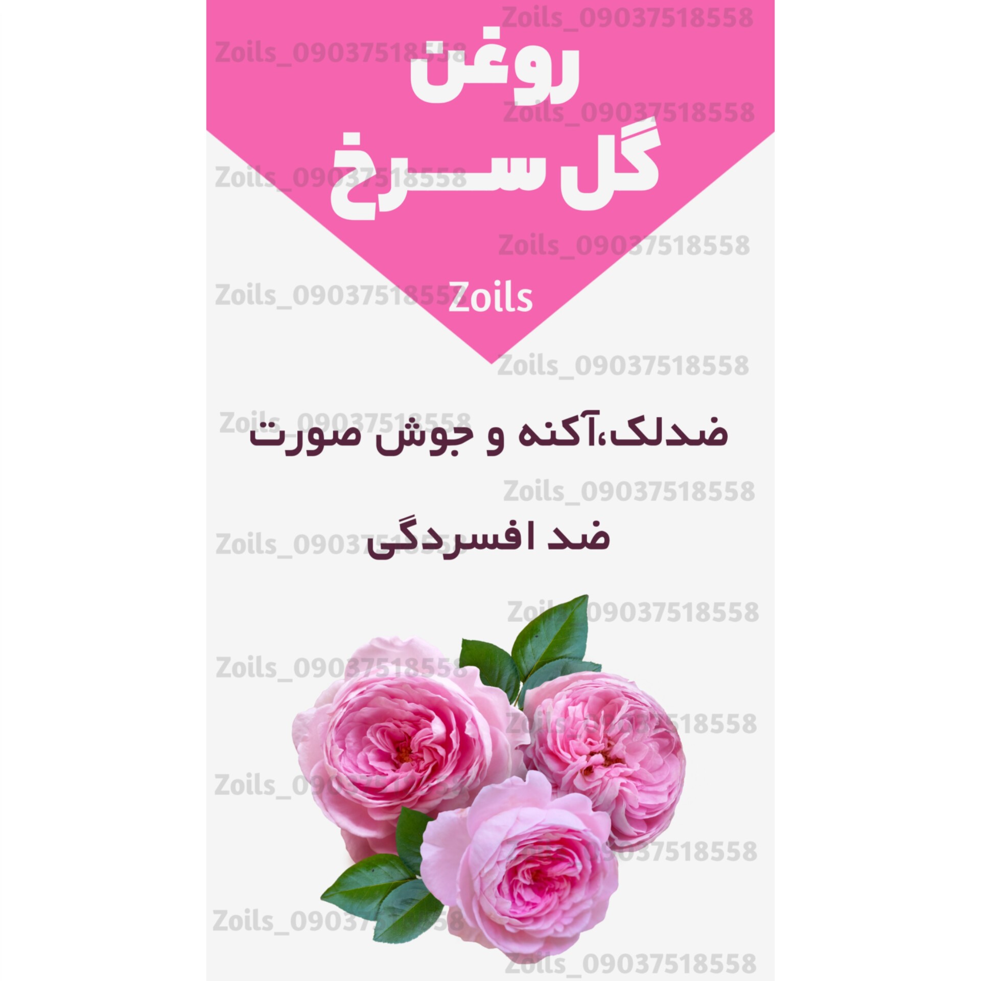روغن گل محمدی گلسرخ گل سرخ رز 60 میلی زداویلز (منافذ باز پوست-ضد لک-آکنه-جوش صورت-ضد جوش-ضد چروک)
