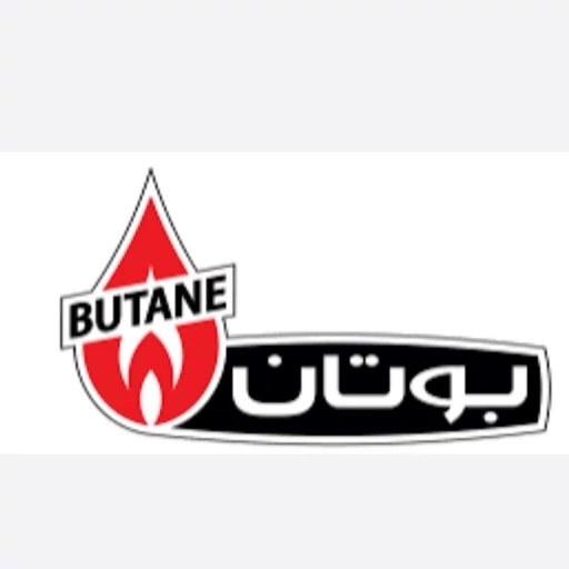آبگرمکن گازی دیواری 3115 بوتان جدید (ارسال + نصب رایگان)