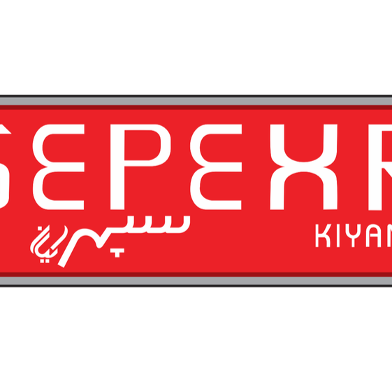 بخاری برقی دو بعدی سپهر کیا 6 شعله فن دار (ارسال رایگان )