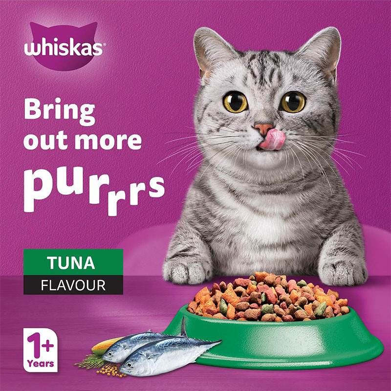 غذای خشک گربه بالغ ویسکاس مدل Dry Cat Food با طعم ماهی تن وزن 7 کیلوگرم