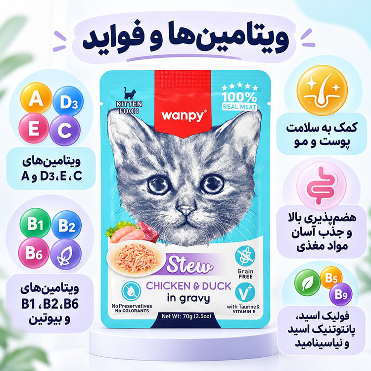 پوچ بچه گربه ونپی مدل Stew chicken & duck وزن 70 گرم