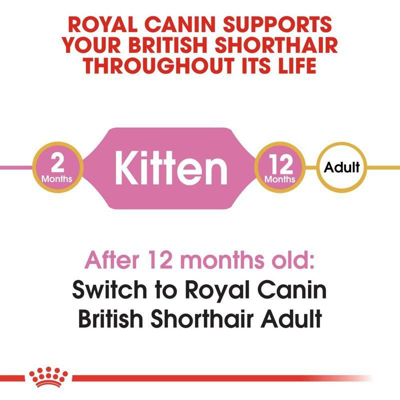 غذای خشک بچه گربه بریتیش رویال کنین مدل British Shorthair Kitten وزن 2 کیلوگرم