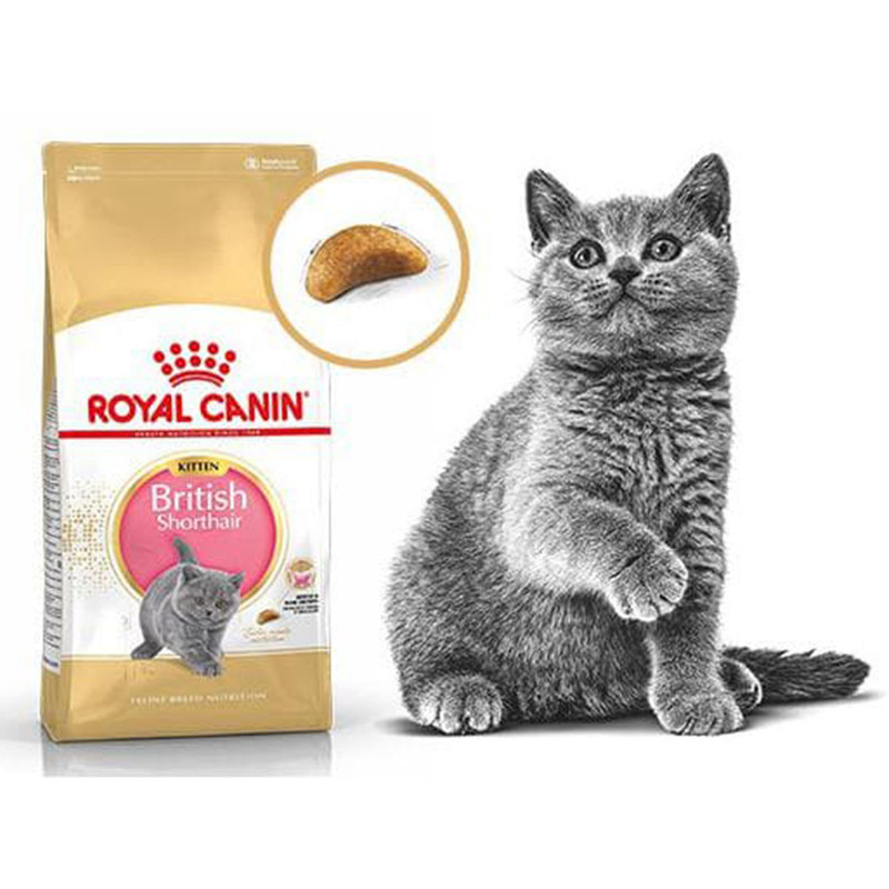 غذای خشک بچه گربه بریتیش رویال کنین مدل British Shorthair Kitten وزن 2 کیلوگرم