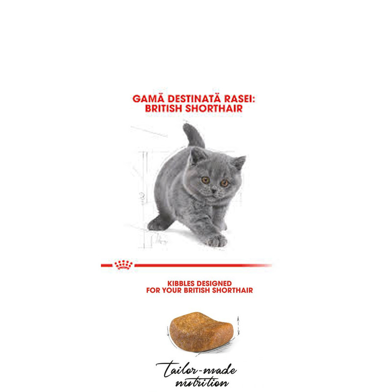 غذای خشک بچه گربه بریتیش رویال کنین مدل British Shorthair Kitten وزن 2 کیلوگرم