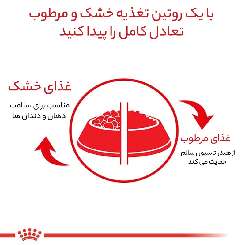غذای خشک سگ رویال کنین مدل Poodle Adult وزن 3 کیلوگرم
