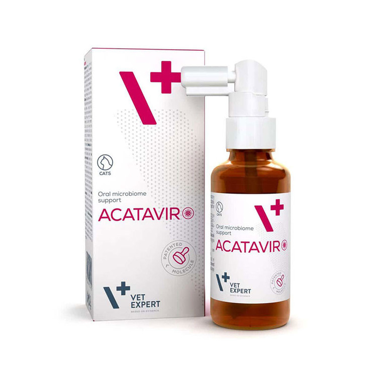 اسپری گربه وت اکسپرت مدل Acatavir Oral Spray مناسب مراقبت از مخاط دهان حجم 30 میلیلیتر