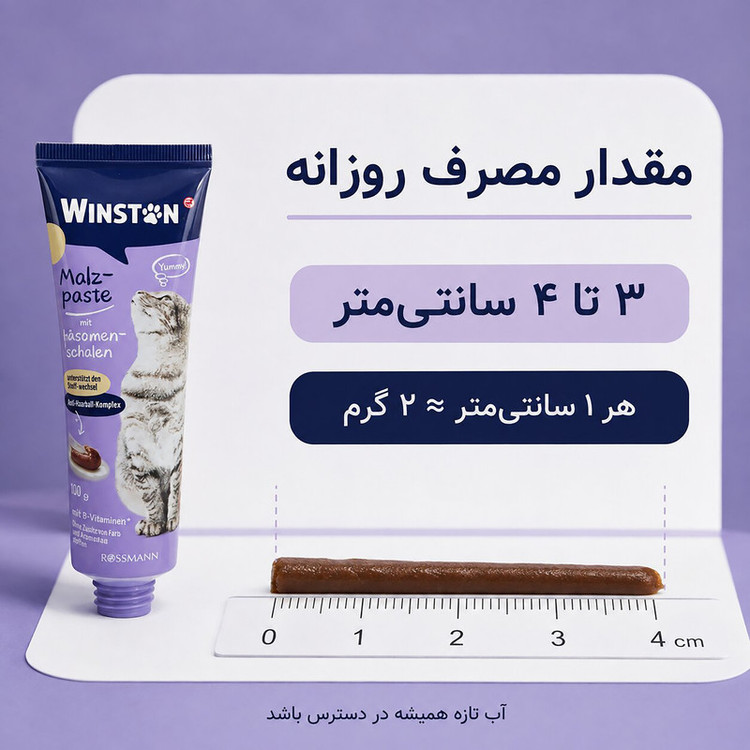 خمیر مالت گربه بالغ وینستون مدل آنتی هیربال وزن 300 گرم مجموعه 3 عددی