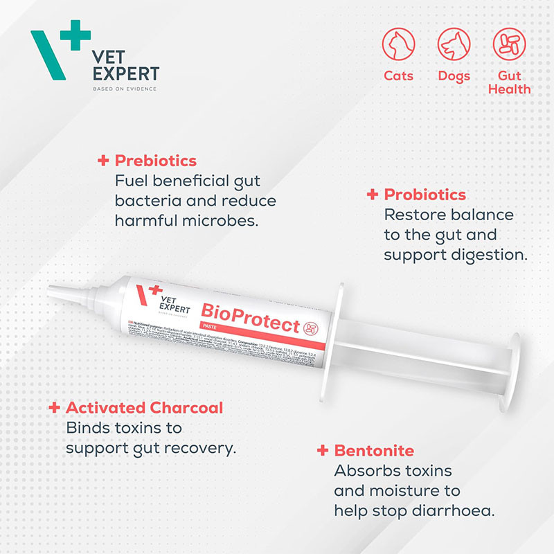 خمیر بیوپروتکت وت اکسپرت سگ و گربه مدل BioProtect Paste مناسب برای سلامت دستگاه گوارش حجم 15 میلیلیتر