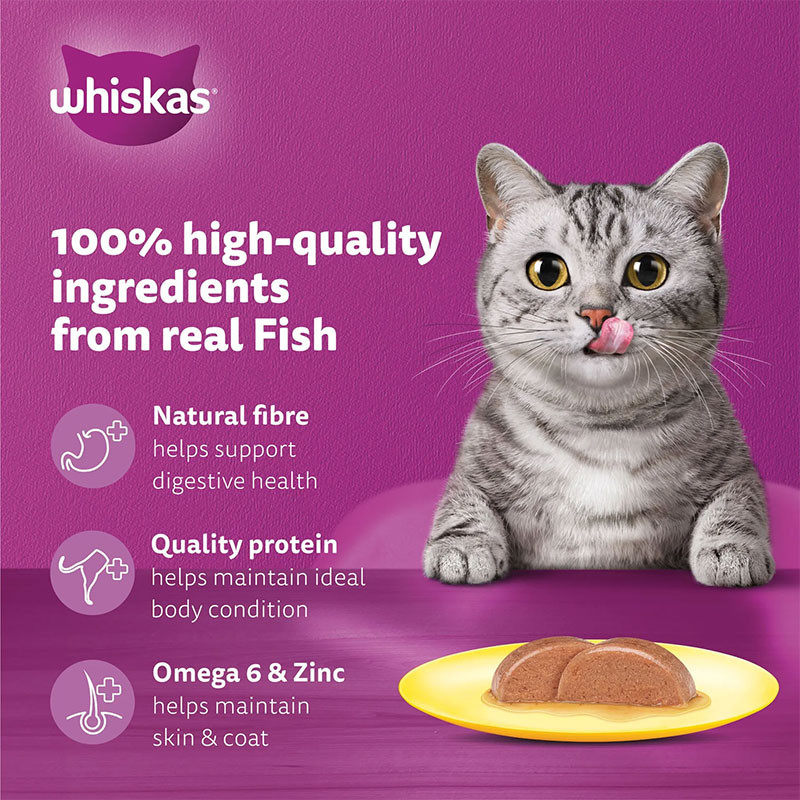 پوچ گربه بالغ ویسکاس مدل Kitten Pouch in Jelly با طعم ماهی 80 گرم بسته 12 عددی