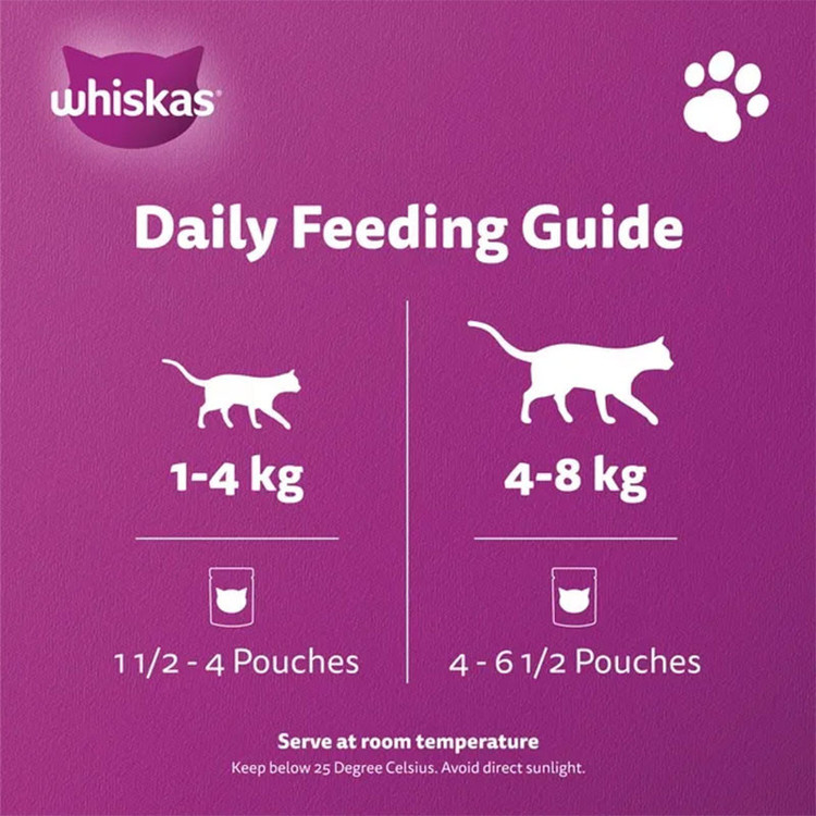 پوچ گربه بالغ ویسکاس مدل Kitten Pouch in Jelly با طعم ماهی 80 گرم بسته 12 عددی