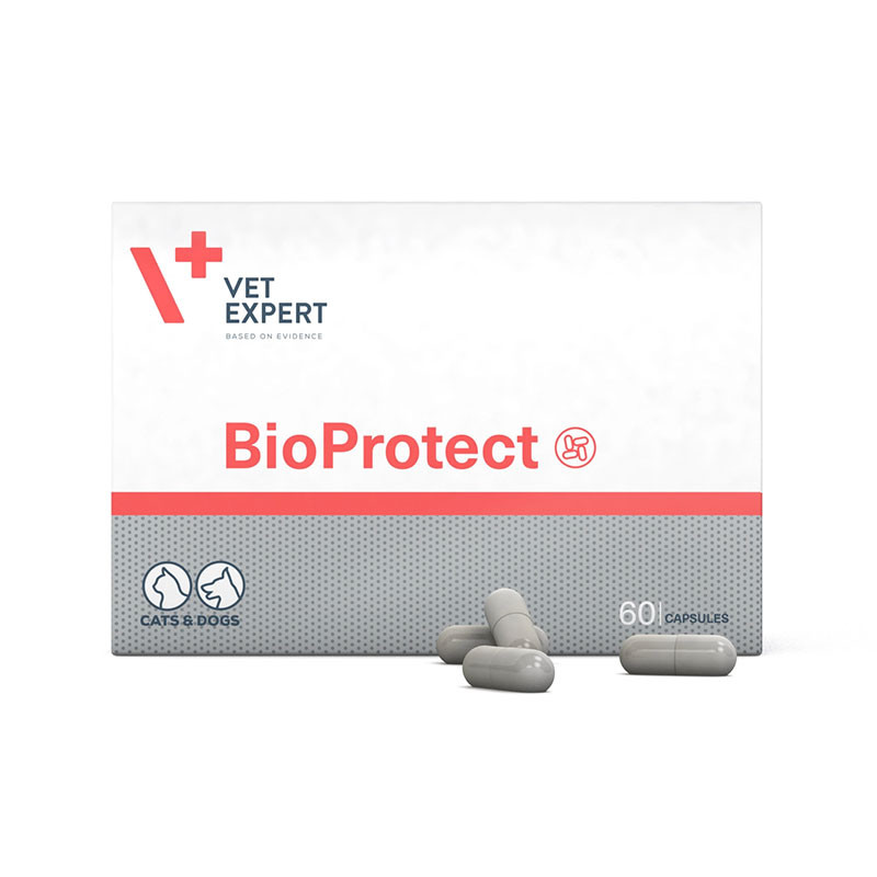 مکمل گربه وت اکسپرت مدل Vet Expert BioProtect بسته 15 عددی