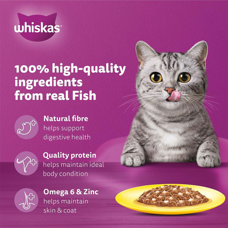 پوچ گربه بالغ ویسکاس مدل Cat Pouch in Jelly با طعم ماهی 80 گرم بسته 12 عددی
