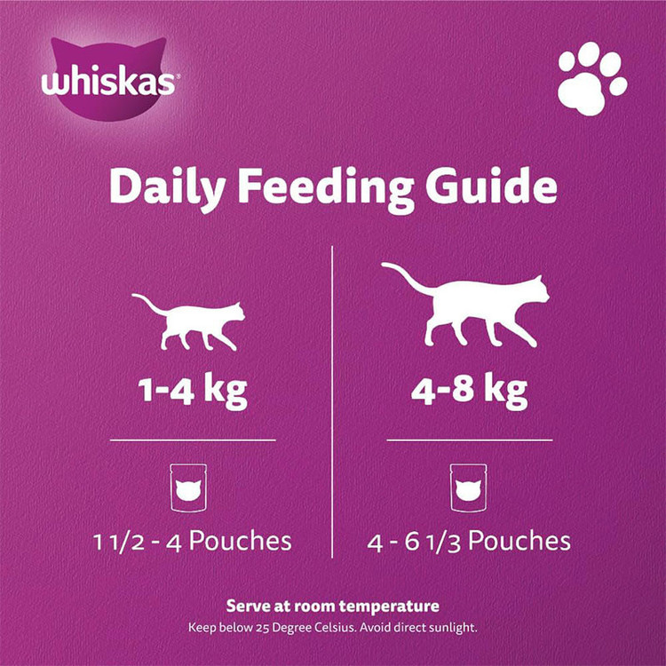 پوچ گربه بالغ ویسکاس مدل Cat Pouch in Jelly با طعم ماهی 80 گرم بسته 12 عددی